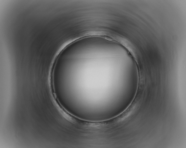 X0000110980803200906261428