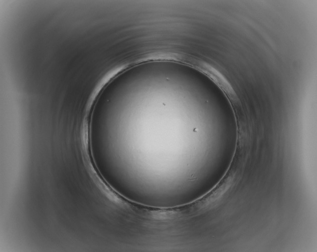 X0000110980804200906261428