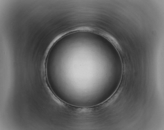 X0000110980808200906261428