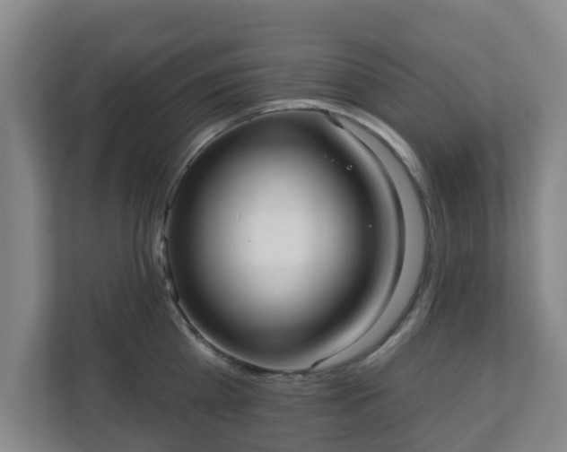 X0000110980809200906261428