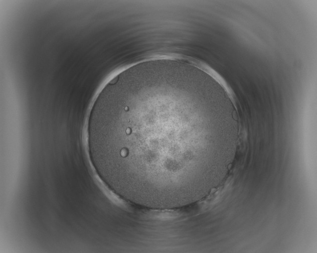 X0000110980811200906261428