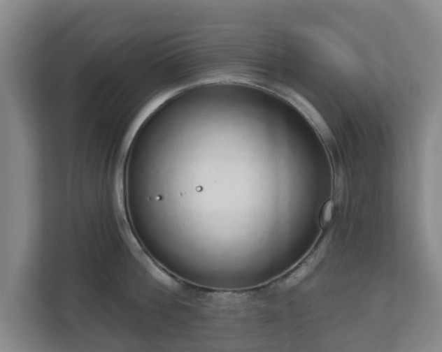 X0000110980812200906261428