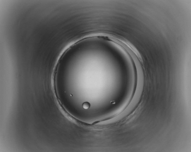 X0000110980813200906261428