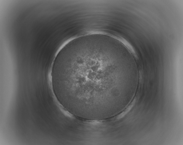 X0000110980814200906261428