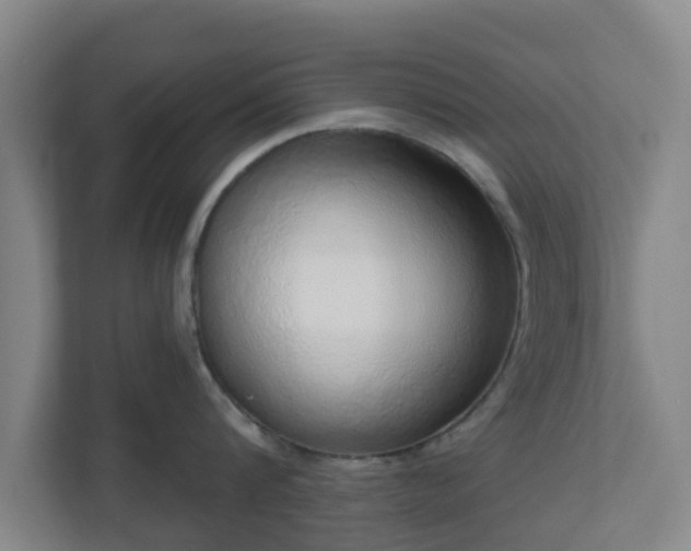 X0000110980816200906261428