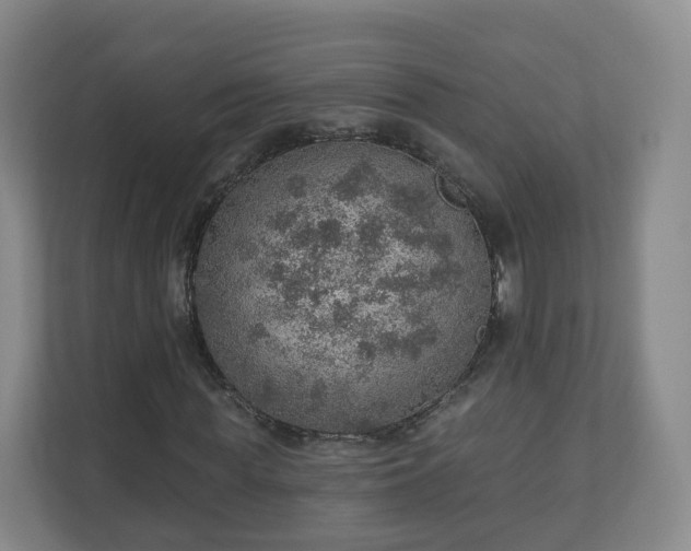 X0000110980819200906261427