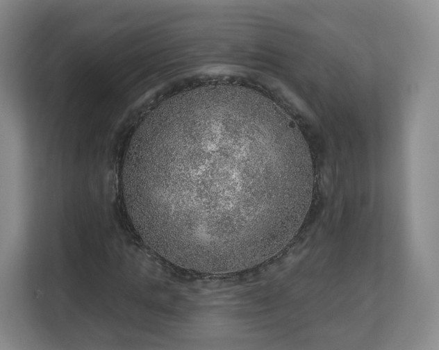 X0000110980821200906261427