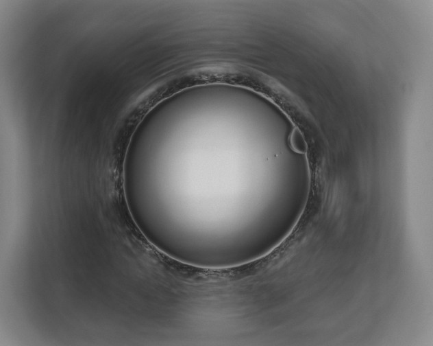 X0000110980822200906261427