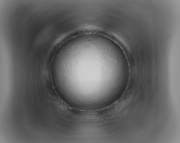 X0000110980823200906261427