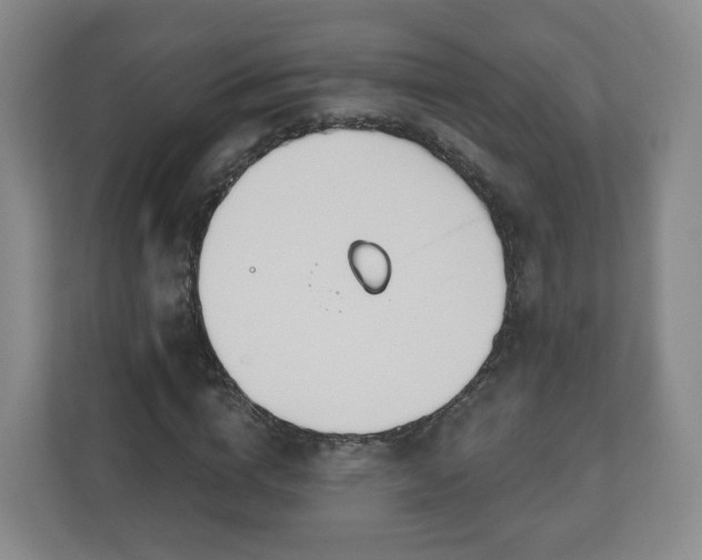 X0000110980824200906261427