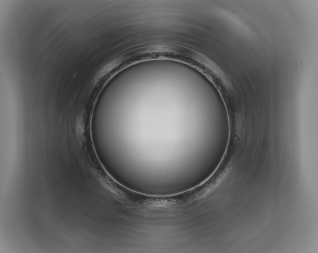 X0000110980826200906261427