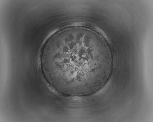 X0000110980827200906261427