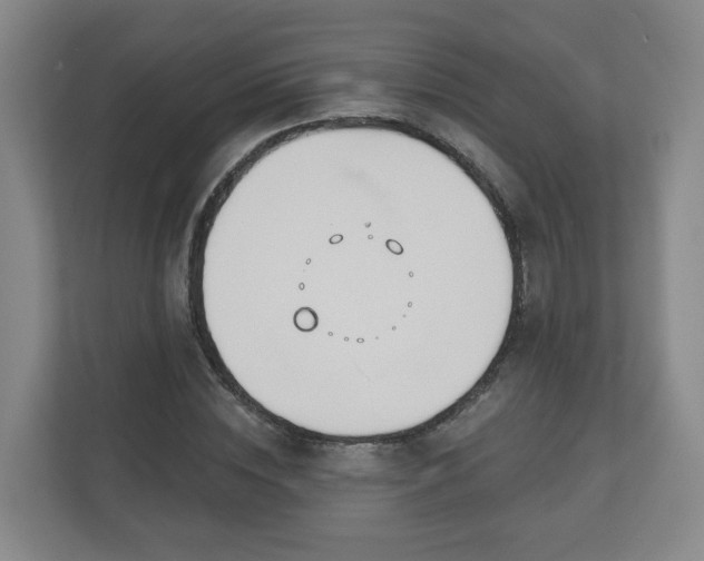 X0000110980828200906261427