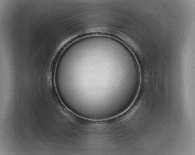 X0000110980830200906261427