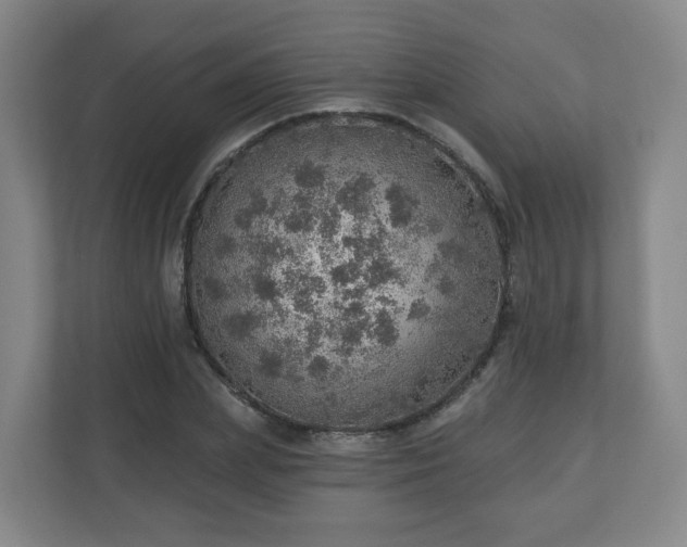 X0000110980831200906261427