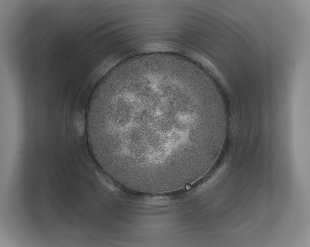 X0000110980833200906261427