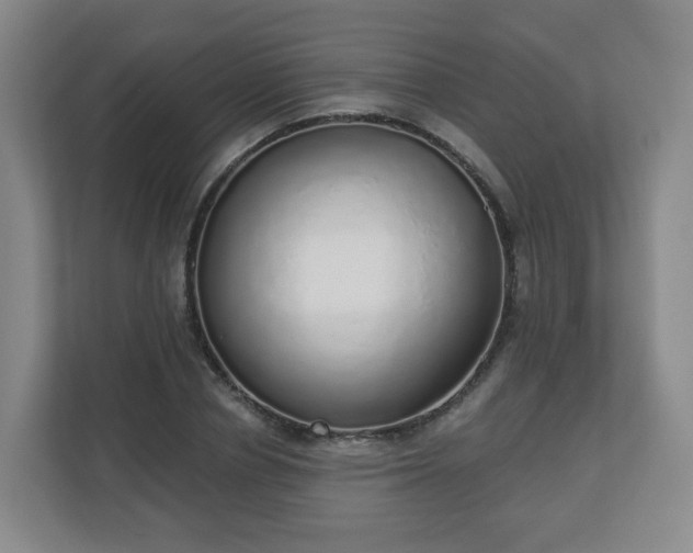 X0000110980834200906261427