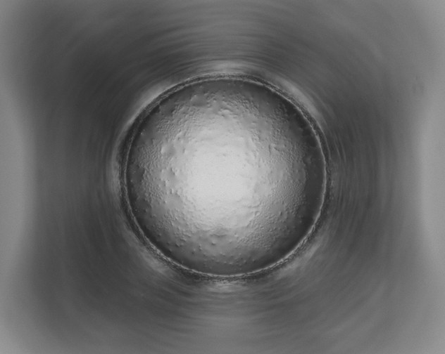 X0000110980835200906261427