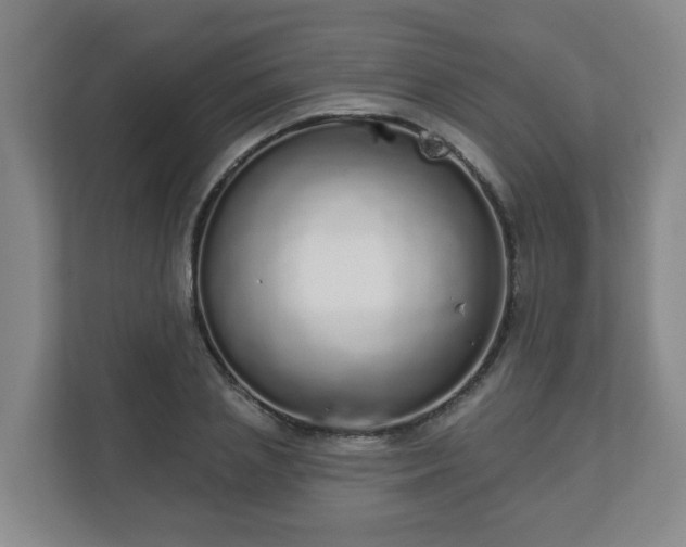 X0000110980837200906261427