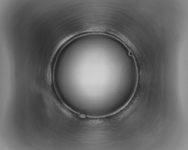 X0000110980838200906261427