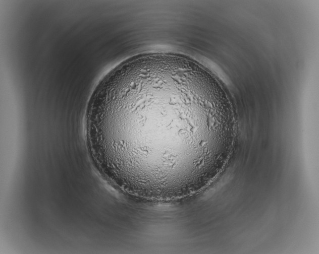 X0000110980839200906261427