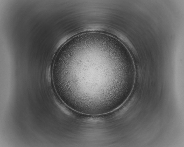 X0000110980842200906261427