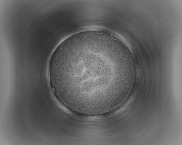 X0000110980843200906261427