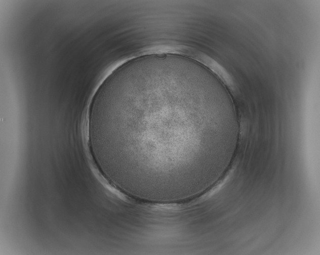 X0000110980844200906261428