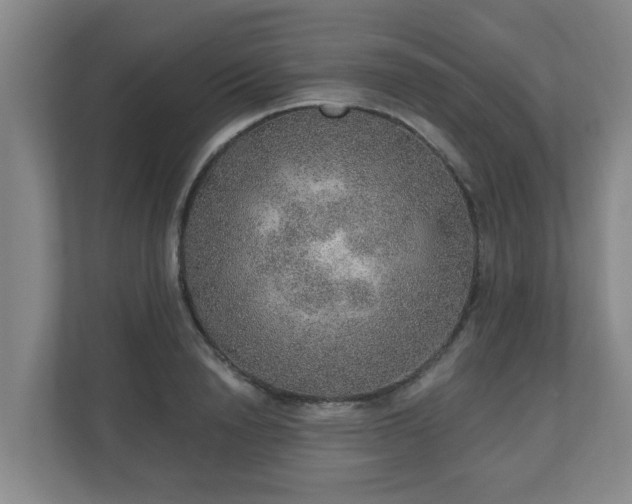 X0000110980846200906261428