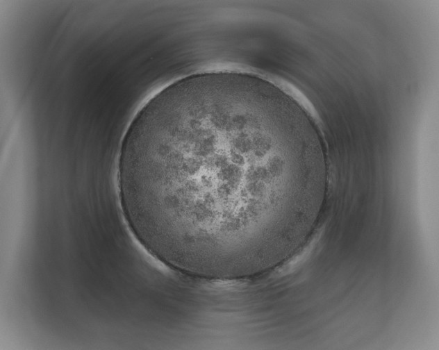 X0000110980847200906261428