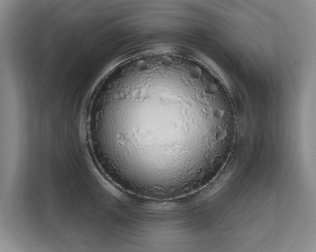 X0000110980851200906261428