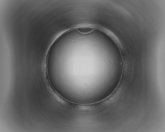 X0000110980852200906261428