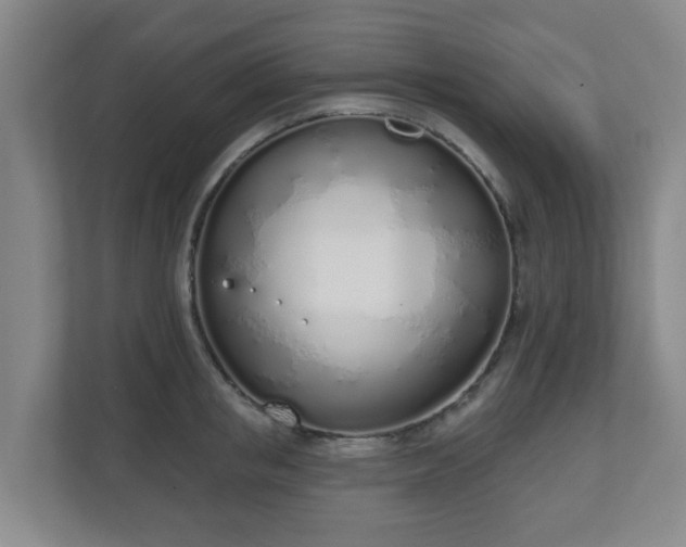 X0000110980853200906261428