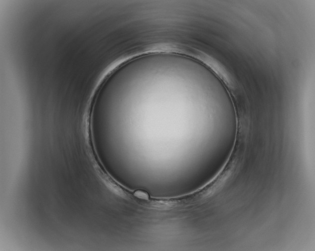 X0000110980854200906261428