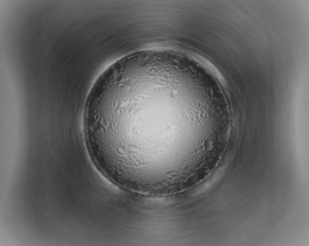 X0000110980855200906261428