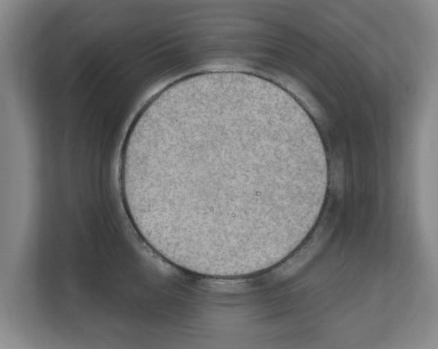 X0000110980856200906261428