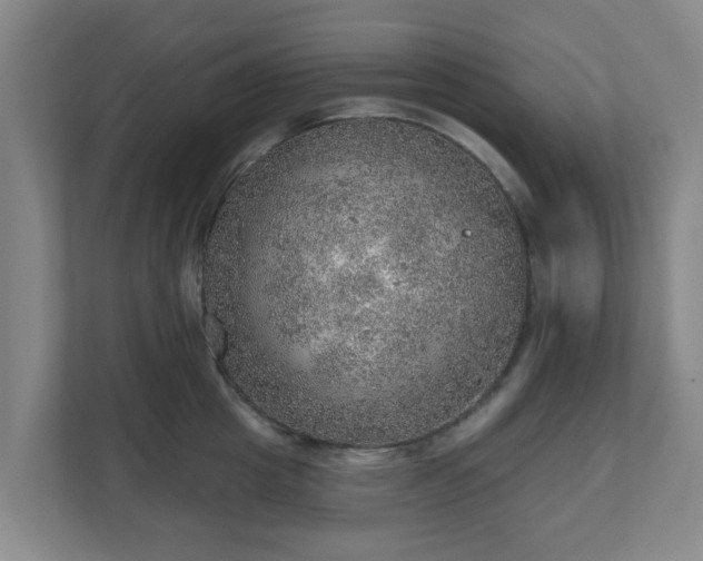 X0000110980857200906261428