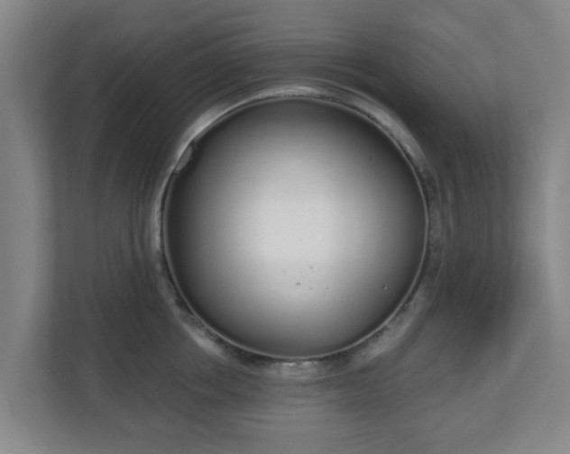 X0000110980858200906261428