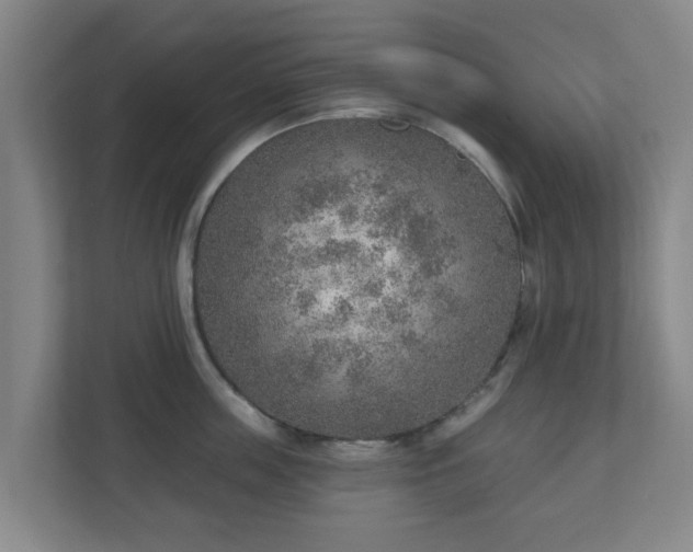 X0000110980859200906261428