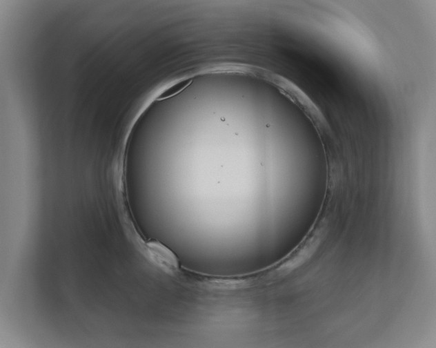 X0000110980860200906261428