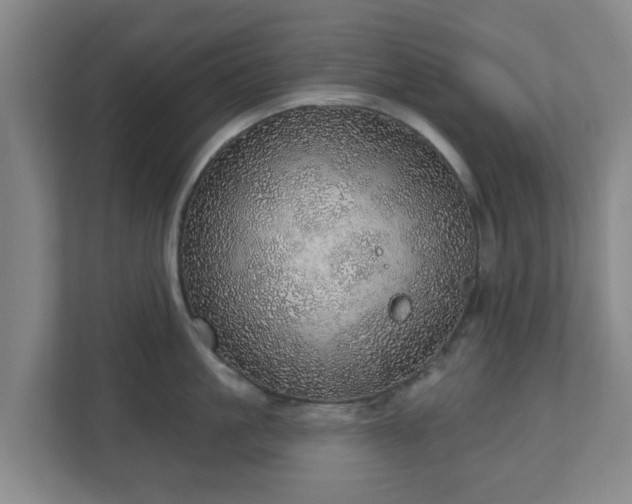 X0000110980861200906261428