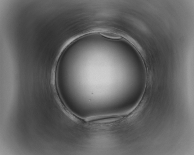 X0000110980862200906261428