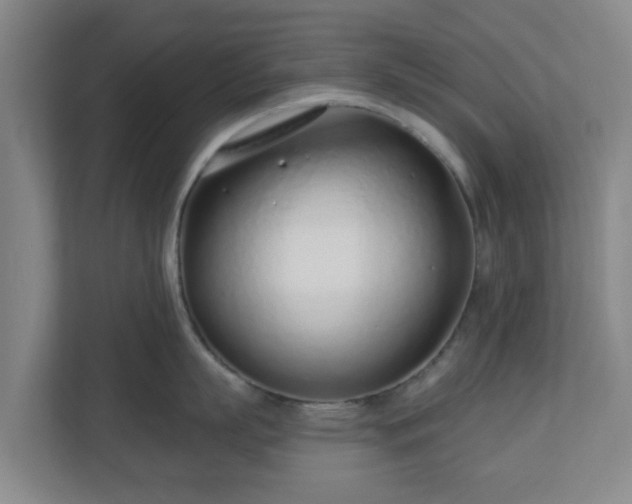 X0000110980863200906261428