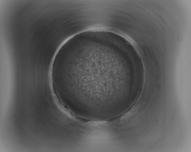 X0000110980864200906261428