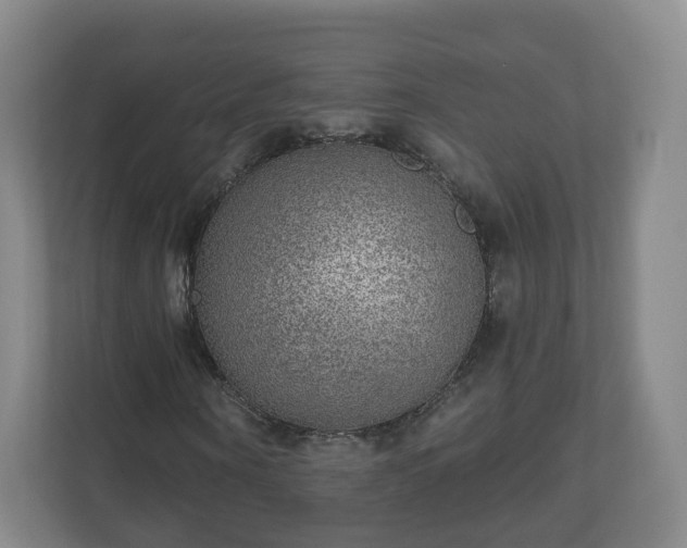 X0000110980866200906261427