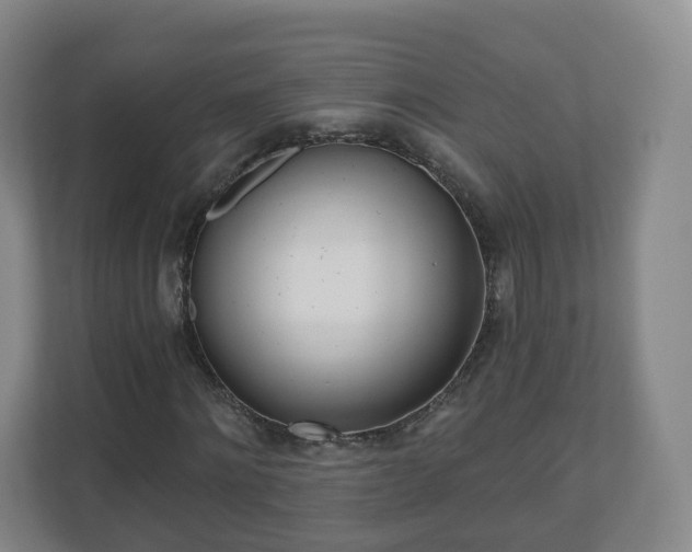 X0000110980868200906261427