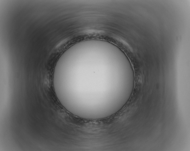 X0000110980869200906261427