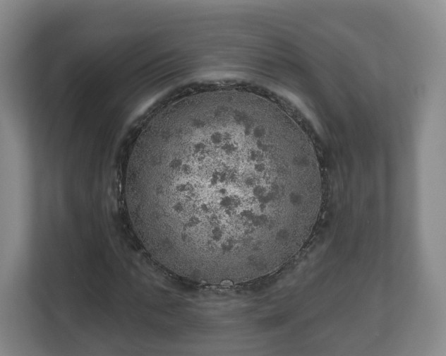 X0000110980871200906261427