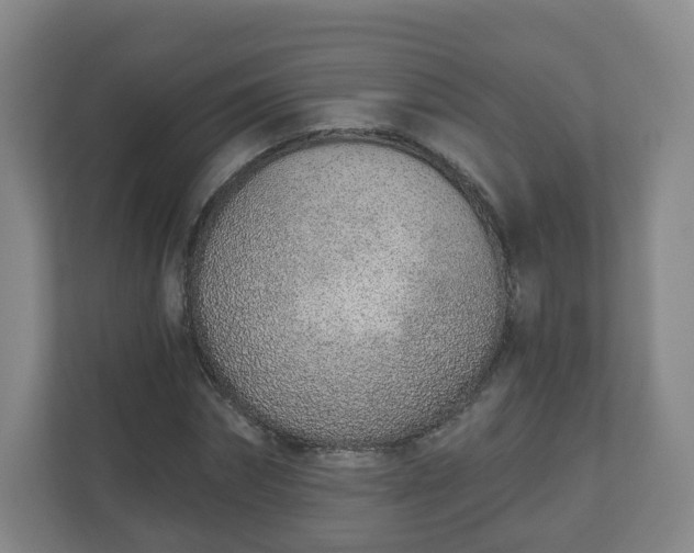 X0000110980874200906261427