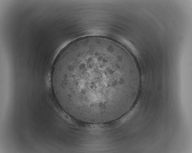 X0000110980875200906261427